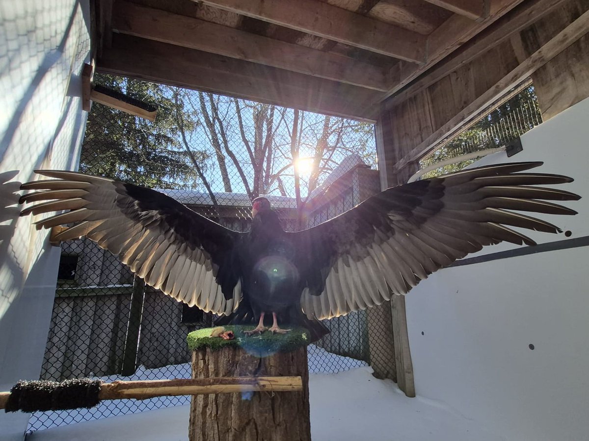 Conservation Halton tweet media