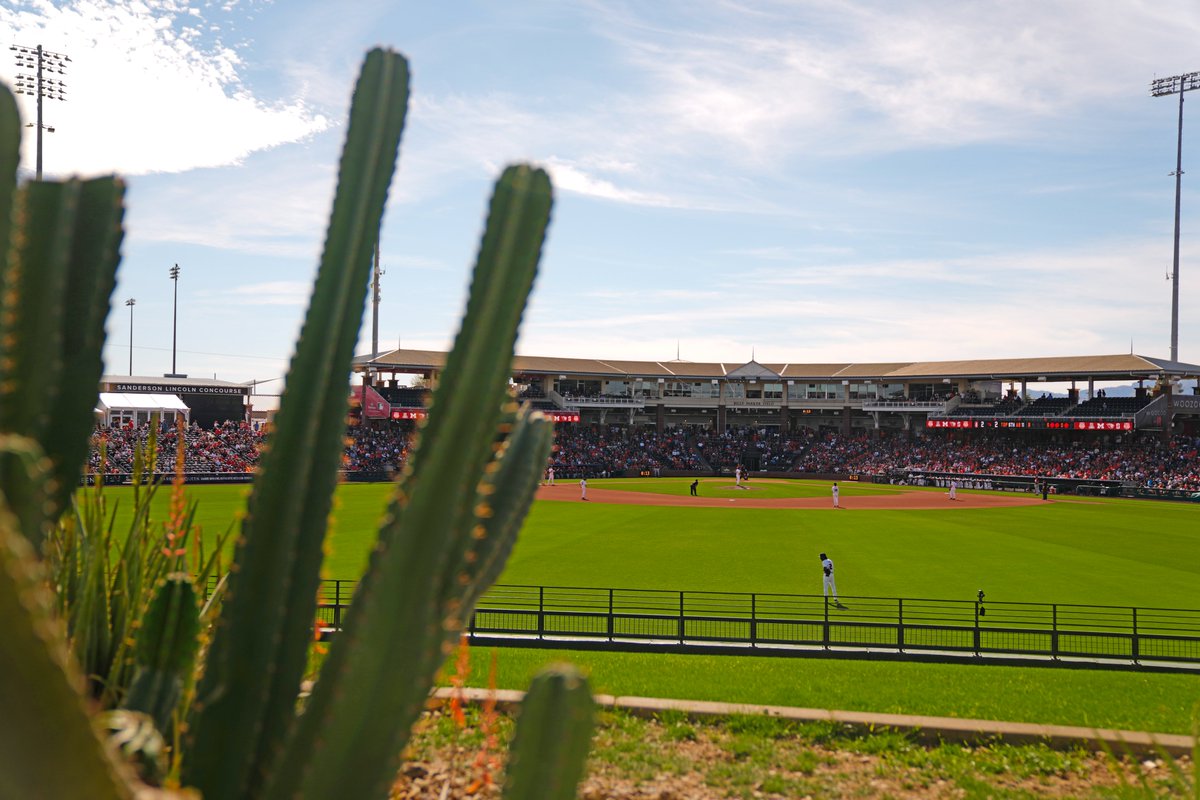 College Baseball Series - Surprise tweet media