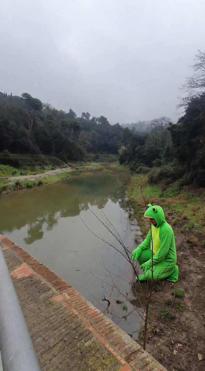 🐸Els nostres therians esperant l'hora...