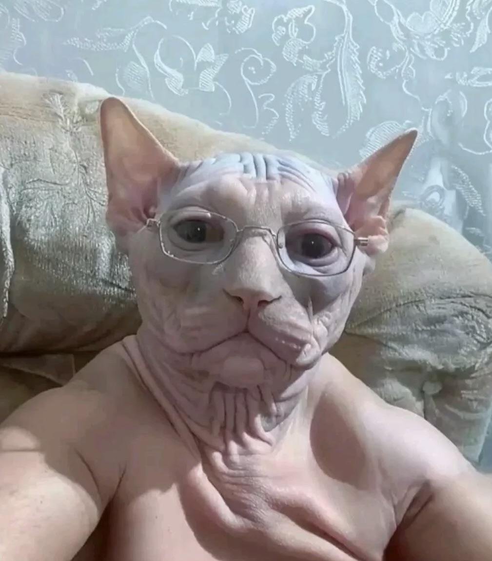 poste uma foto que vc tirou

só a imagem, sem descrição