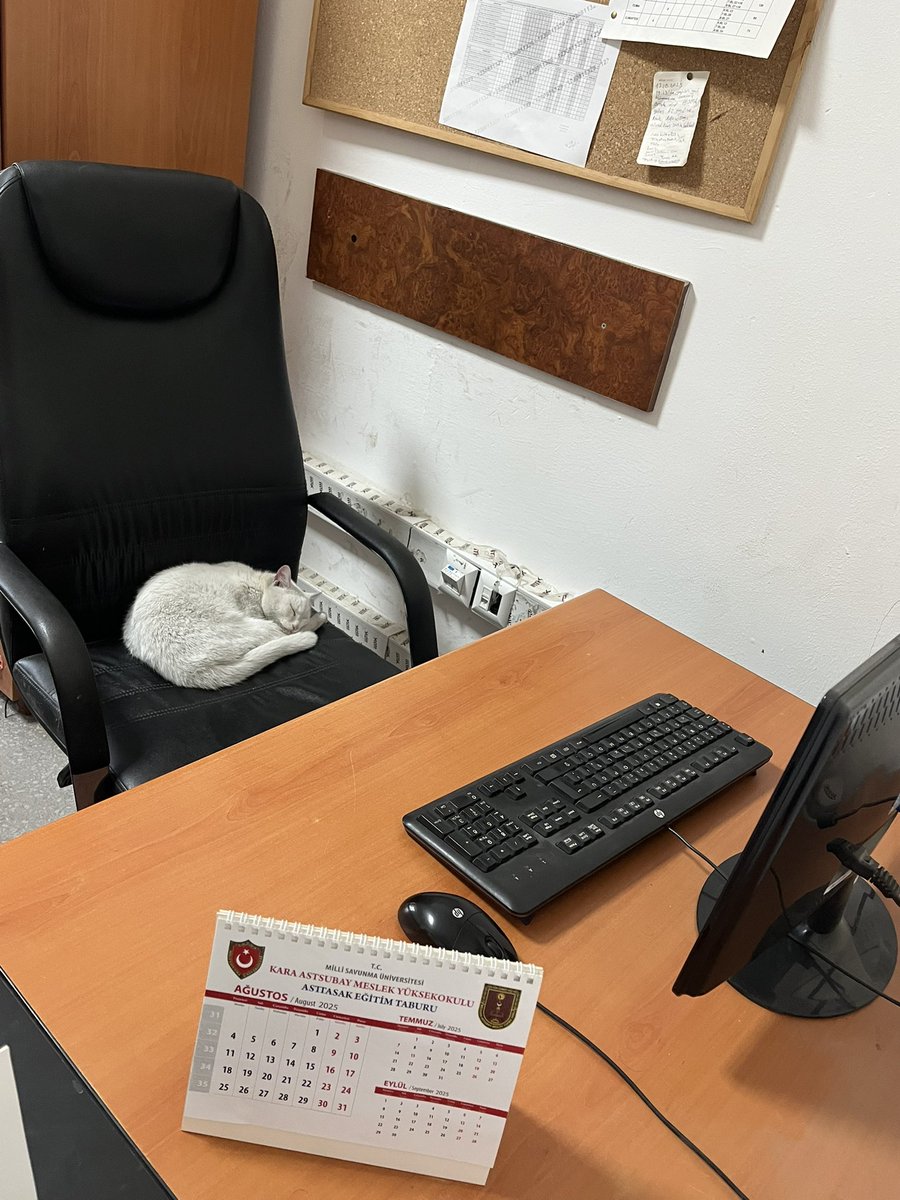 Makam koltuğu edindi kalkmıyor