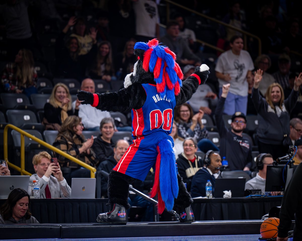 Golden Grizzlies tweet media