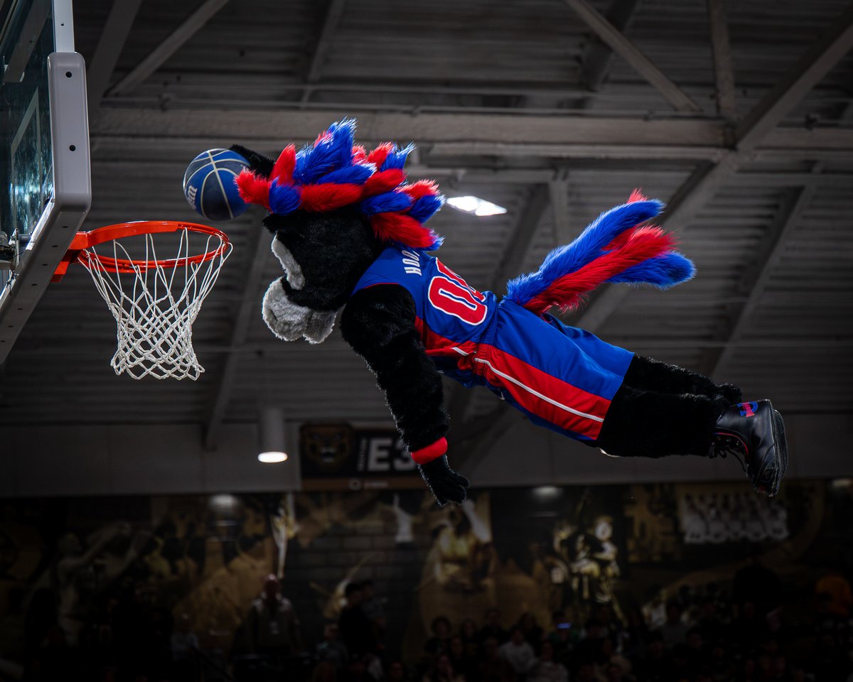 Golden Grizzlies tweet media