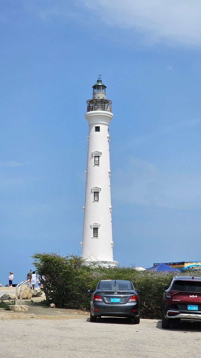 Pleas Proffitt tweet media