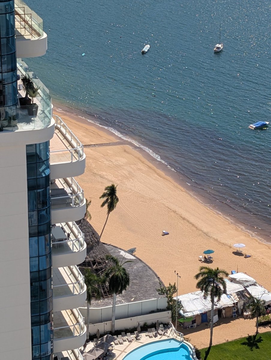 Pocketo 👣 tweet media