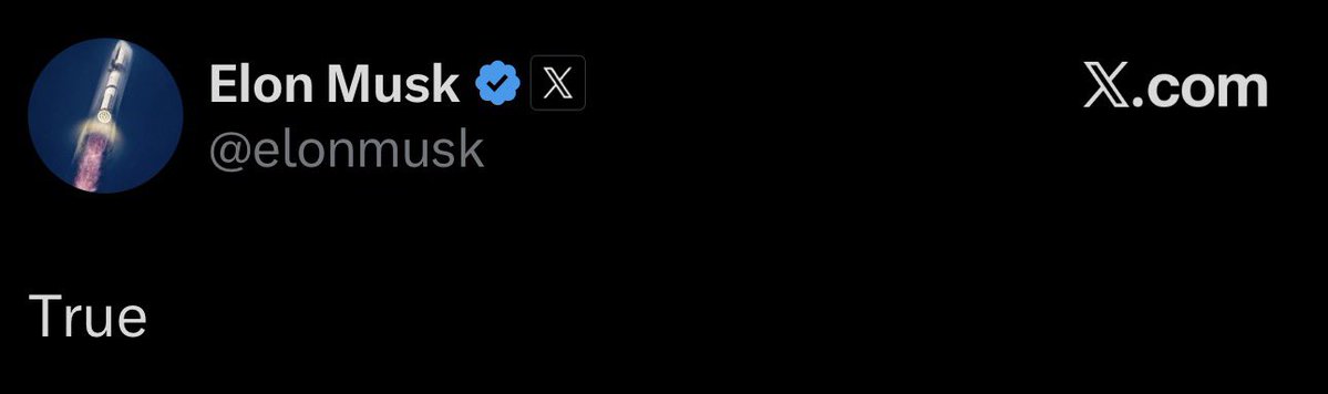 TC 🐊 (@thomasscaldwell) on Twitter photo 