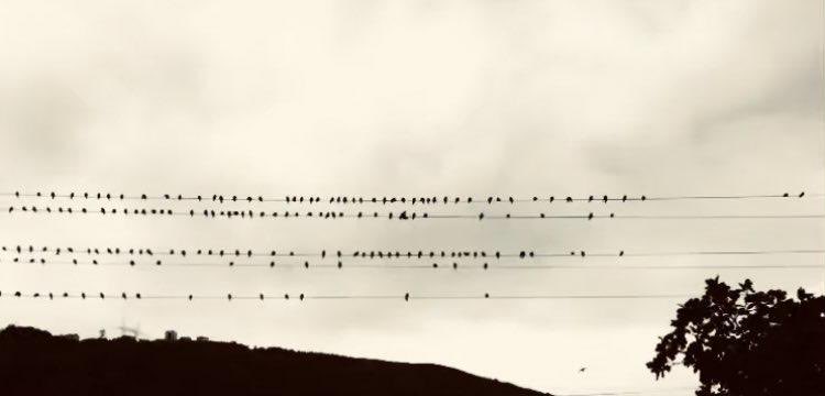 Düzenli Dağınık Atölye tweet media