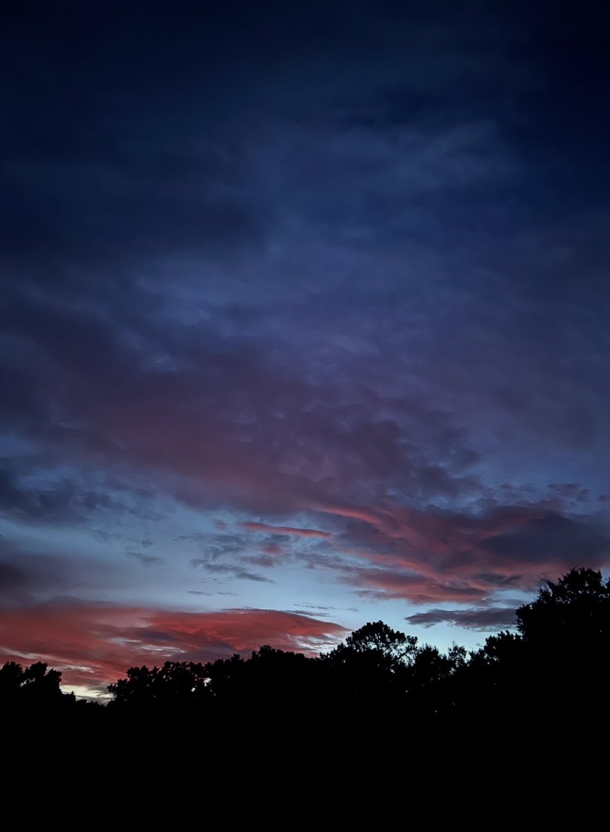 Reverie in Ruins (@sighandsubmit) on Twitter photo 