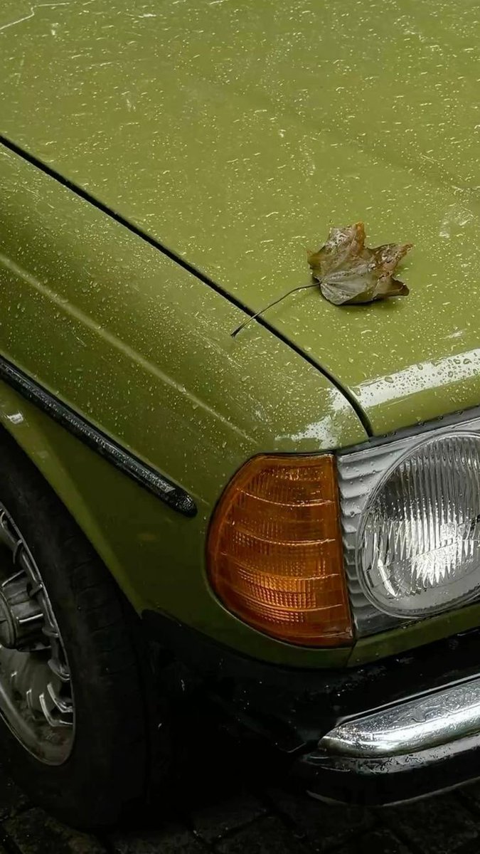 ᅠ ᅠ (@greendreaams) on Twitter photo 