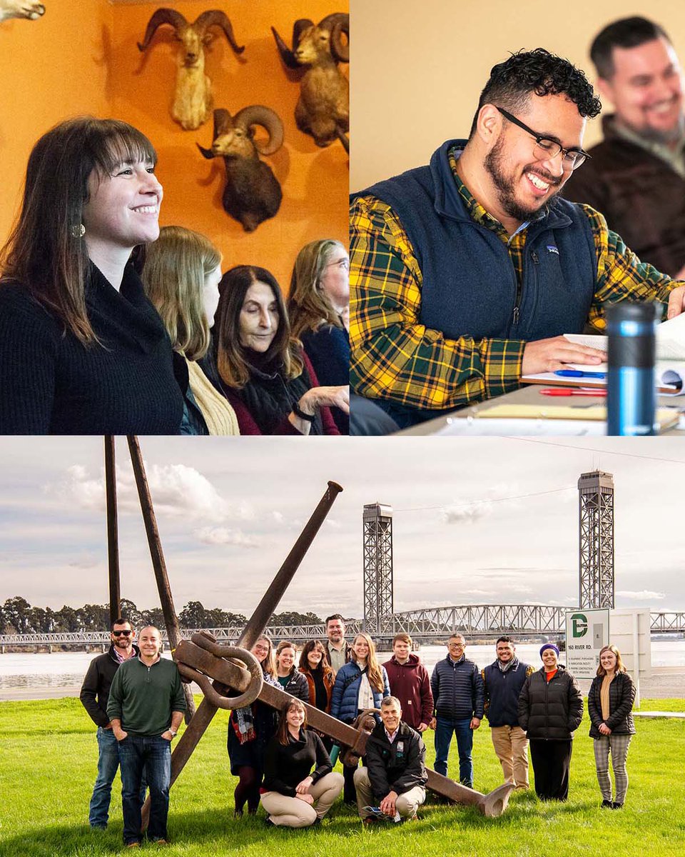 Delta Protection tweet media