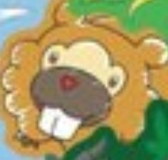 SOGMonkey tweet media