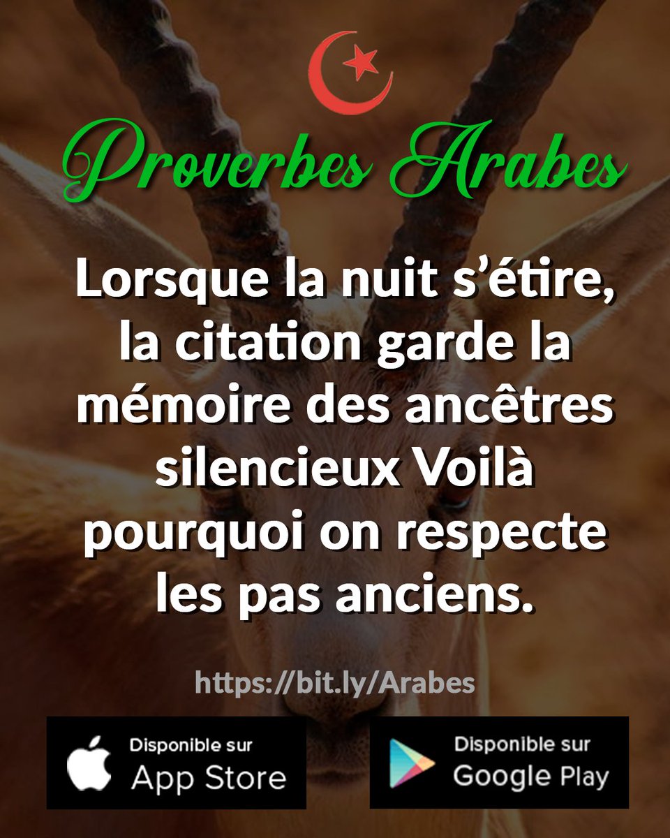 ProverbesArabes's tweet photo. Plongez dans l'océan de sagesse des proverbes arabes. Chaque mot est une perle guidant notre chemin vers la lumière intérieure. 🌟 #SagesseAfricaine #ProverbesInspires #Epanouissement #DeveloppementPersonnel https://t.co/57cACqVjvF