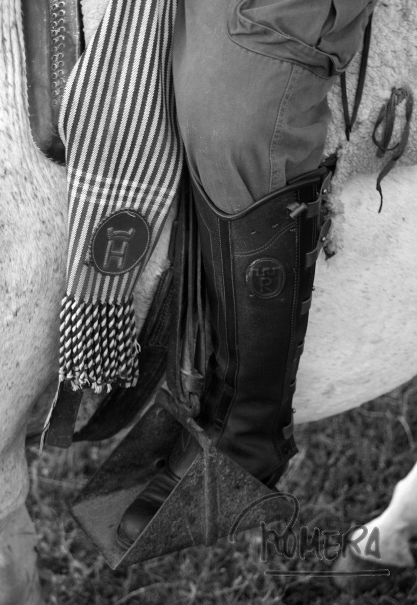 DOMINGUIN tweet media