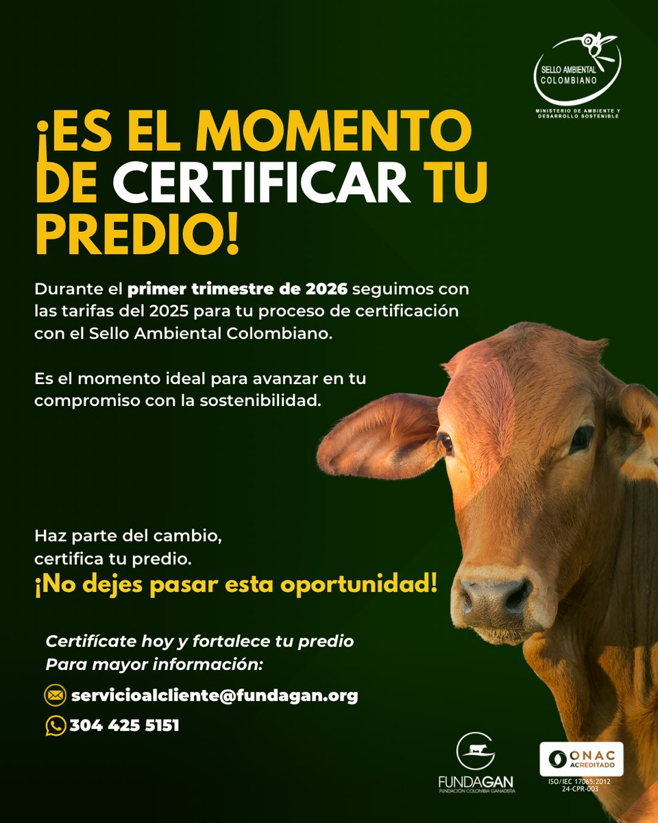 Fundagan tweet media