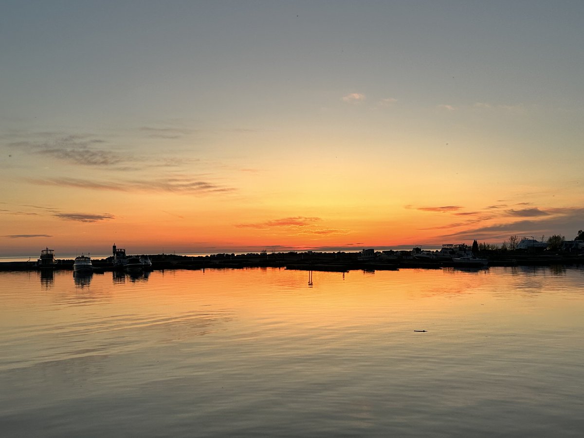 Paradise Inn tweet media