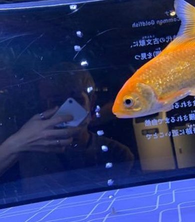 中村 航馬 tweet media