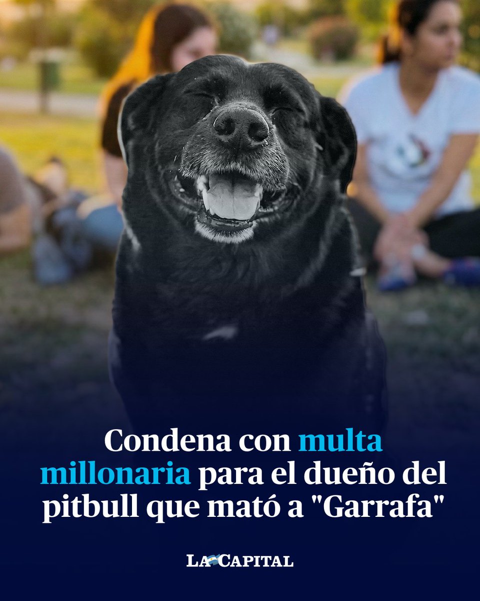 🐶 CONDENARON AL DUEÑO DEL PITBULL QUE MATÓ A GARRAFA

El Tribunal de Faltas de la ciudad de Santa Fe condenó al dueño del pitbull que mató a Garrafa, el perro comunitario de la Universidad Nacional del Litoral (UNL). El imputado deberá pagar una multa millonaria y asistir a
