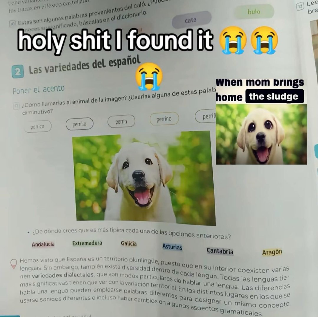 Chief ⚔️ ‼️ (Dinosaurs Are Real) (@chiefofisaac) on Twitter photo 