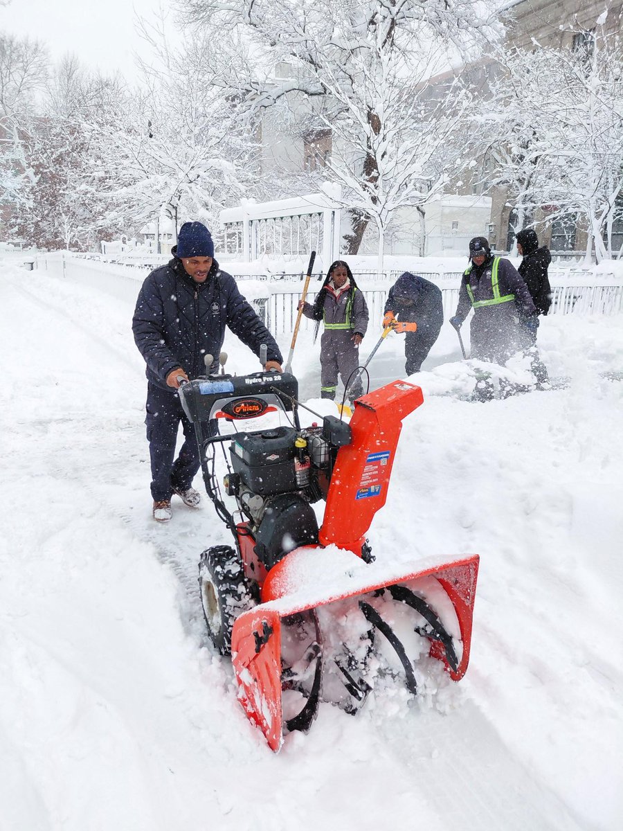 NYC Parks tweet media