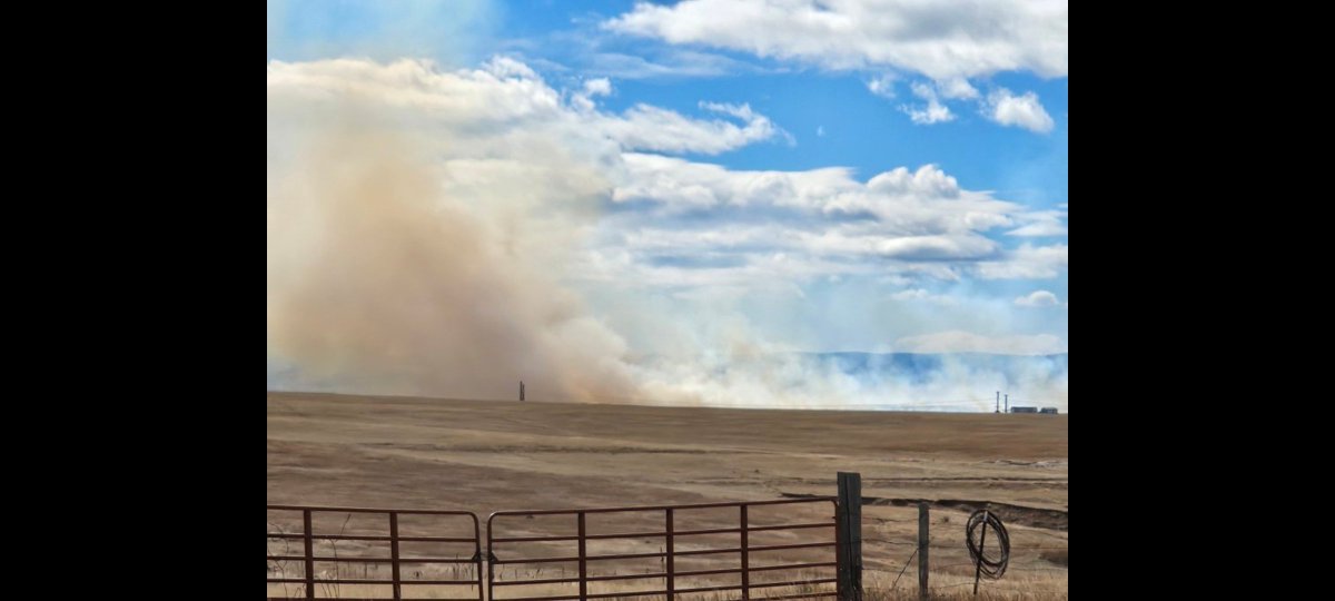 EmergencyStream's tweet image. 🚨 🔥 #BREAKING | CO | Franktown | #Wildland interface fire threatening structures | #Listen w @EmergencyStream: scannerradio.app/?l=ODIxNDM