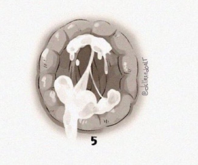 سجودي tweet media