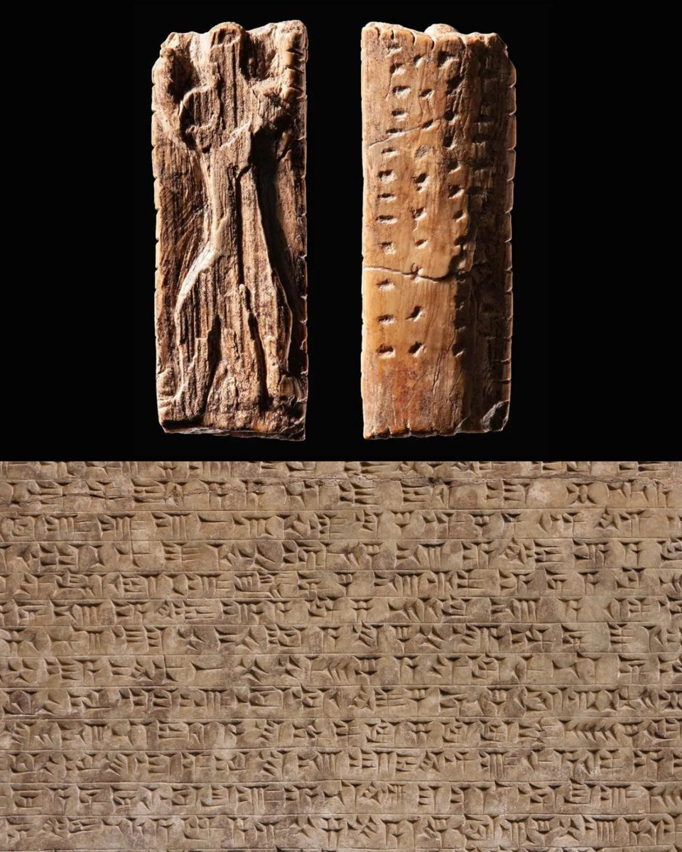 James Lucas tweet media