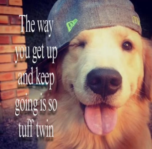 Moonshot tweet media