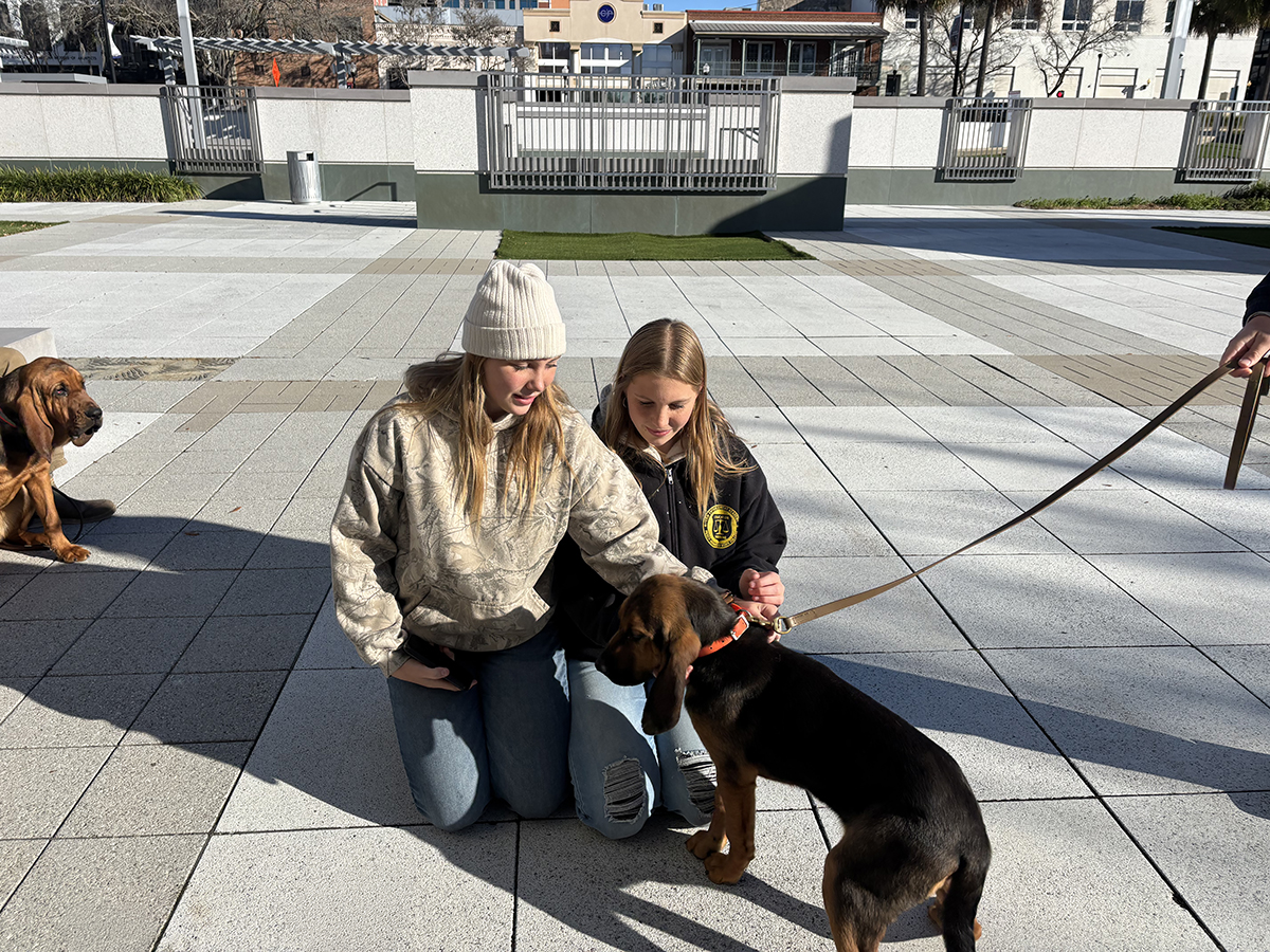 The Scent Evidence K9 Team had a great time meeting hundreds of kids at Children's Day at the Capitol and Storybook Village today! Bringing The Lost Home Champion Rep. Rachel Plakon stopped by the booth to meet our future lifesaving Bloodhound pups! facebook.com/scentevidencek…