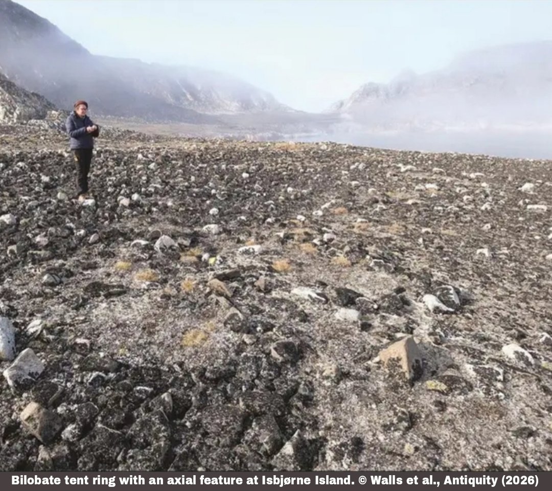 Archaeology News Online Magazine tweet media