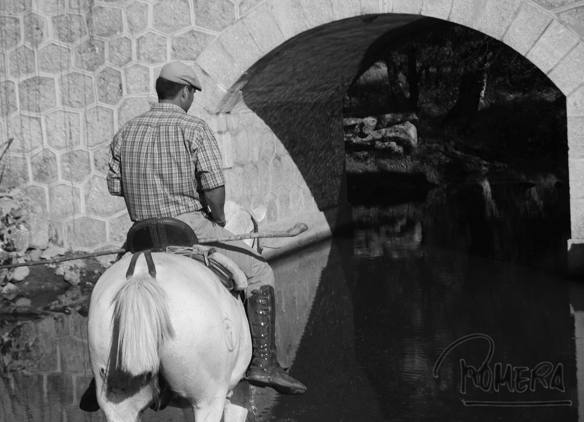 DOMINGUIN tweet media