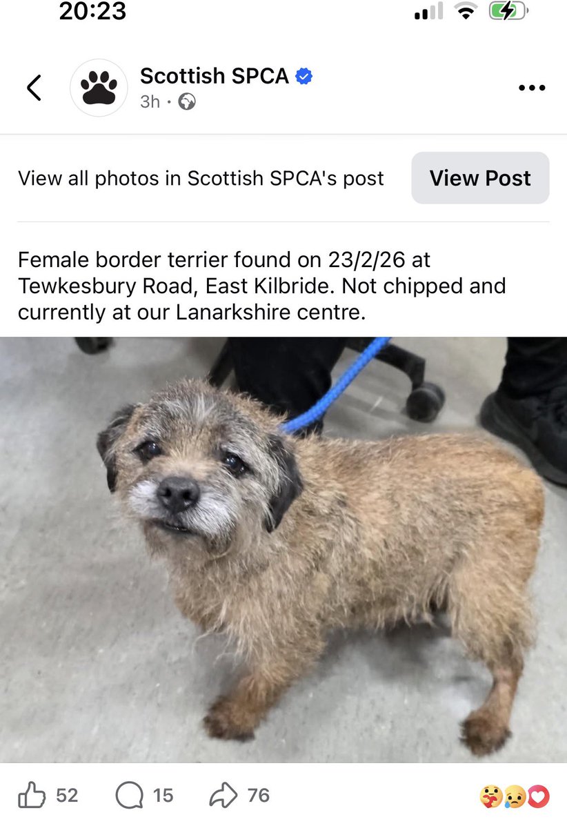 Poor little soul. Please share. You never know #BTPosse