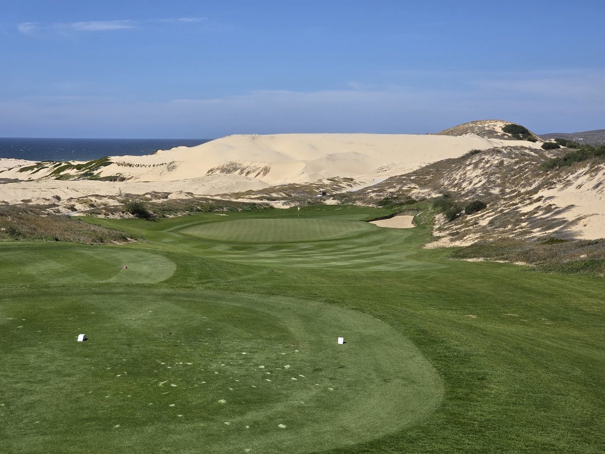 Greg Norman Jr tweet media