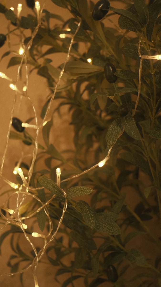 خالد العامري khalid alameri tweet media