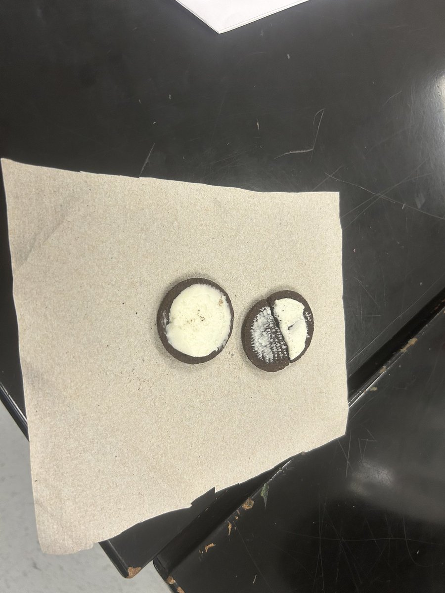 Holub Middle tweet media