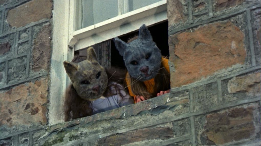 Ronald Perrone tweet media