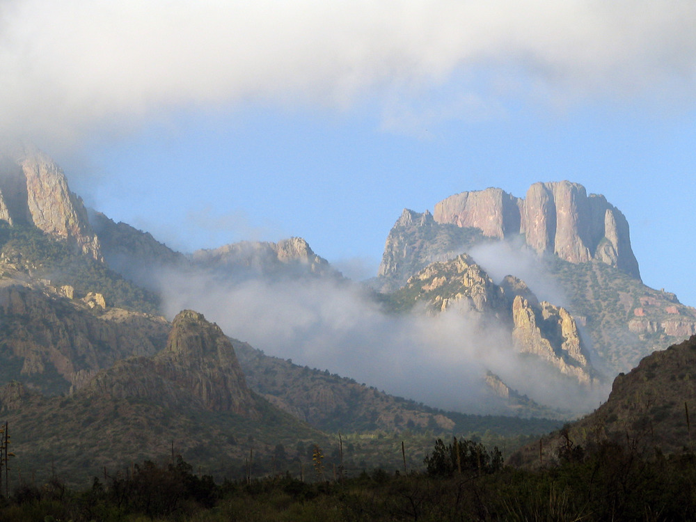 StellaKuru1's tweet photo. Big Bend National Park in Texas is a national treasure. You should visit in the Spring when things are blooming!
#NoWall 🌵🪻🪺🌼
Stop the construction of the wall in Big Bend Ranch State Park & Big Bend National Park https://t.co/yLwYIdnuLK via @Change https://t.co/DSzgMHMV24