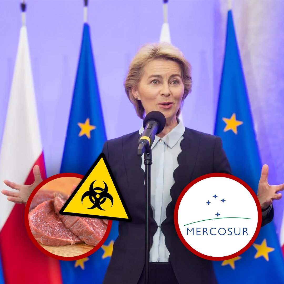 Ewa Zajączkowska-Hernik tweet media