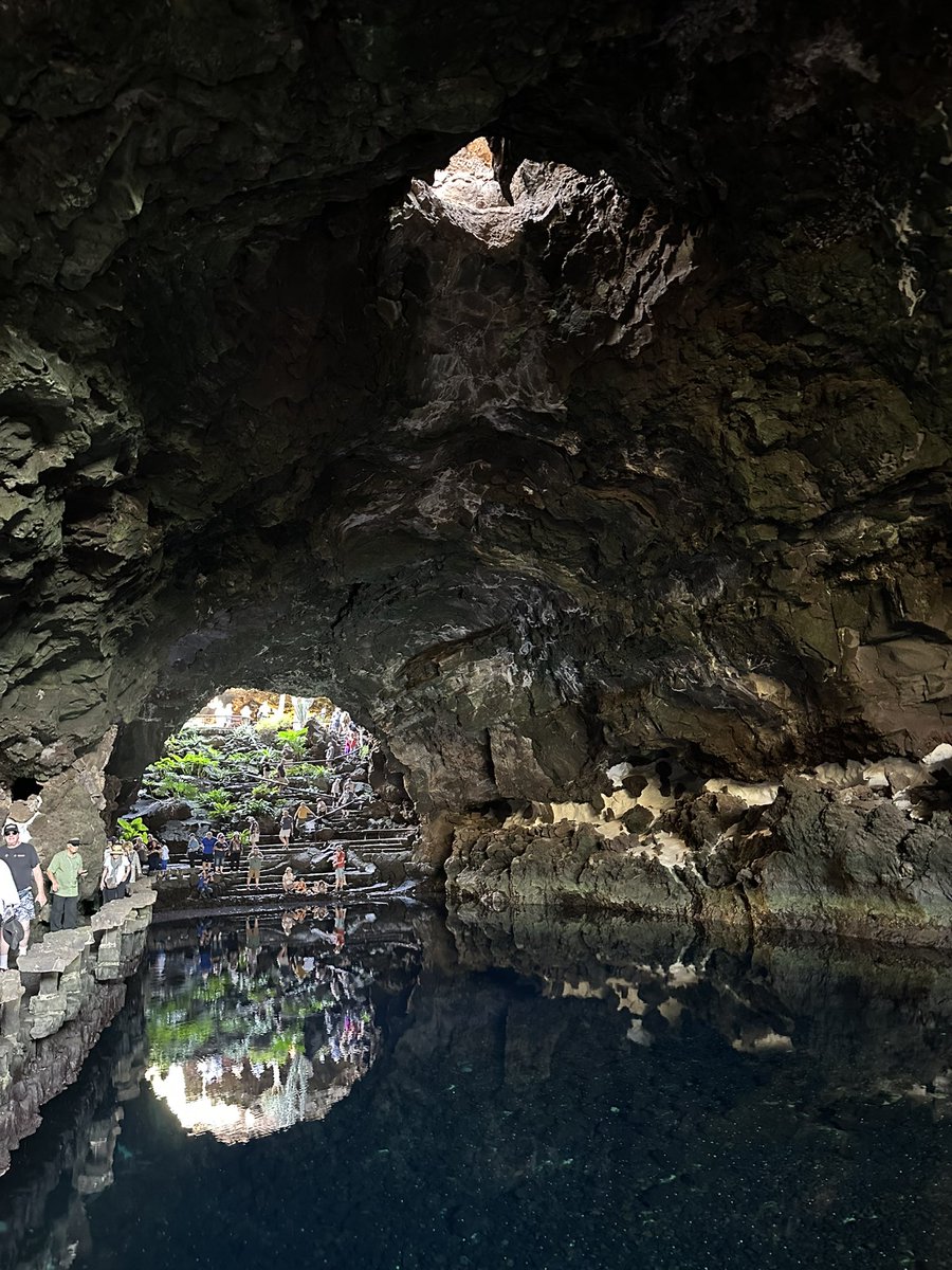 Meraviglia tweet media