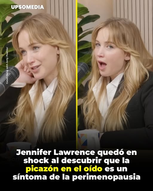 🦈 ISG Kipichan tweet media