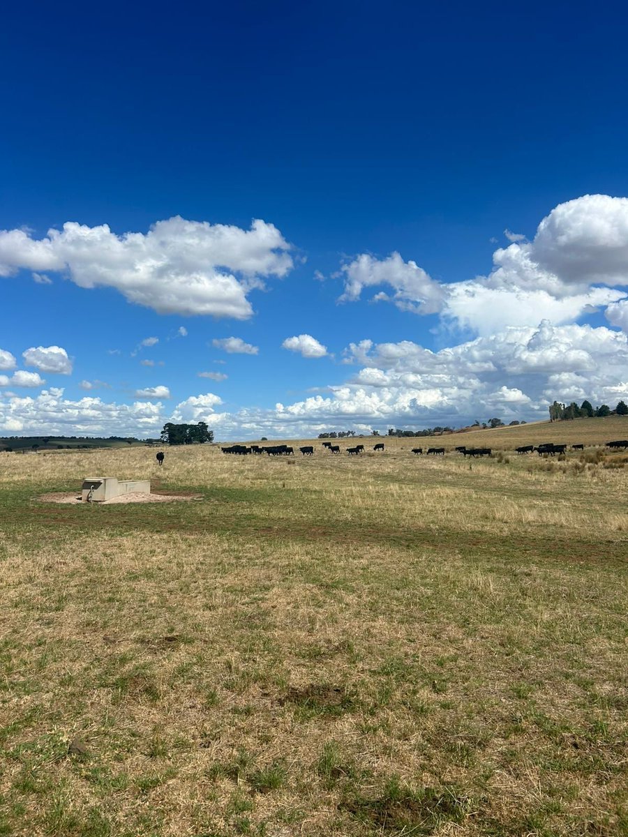 neXtgen Agri Ltd tweet media