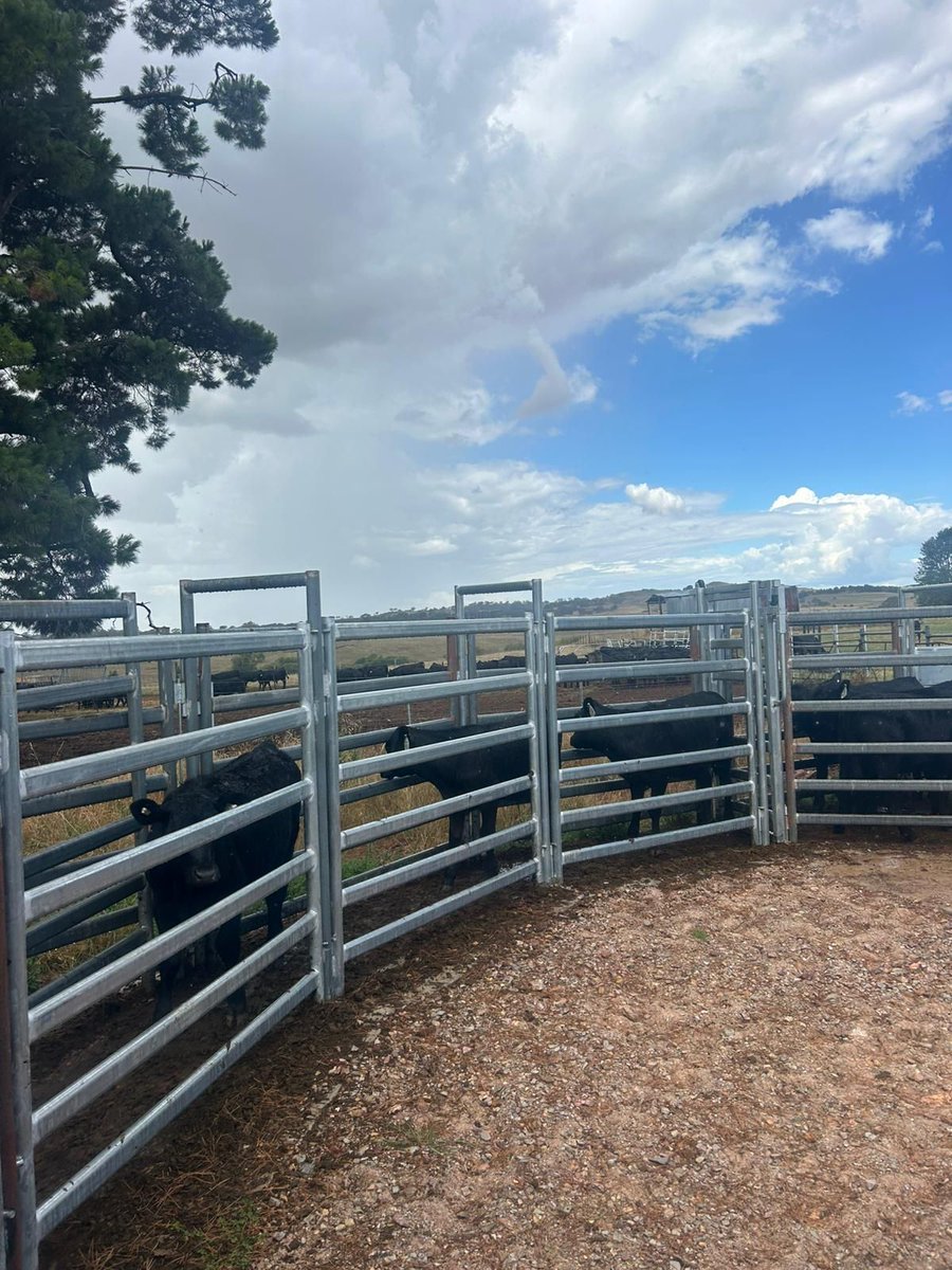 neXtgen Agri Ltd tweet media