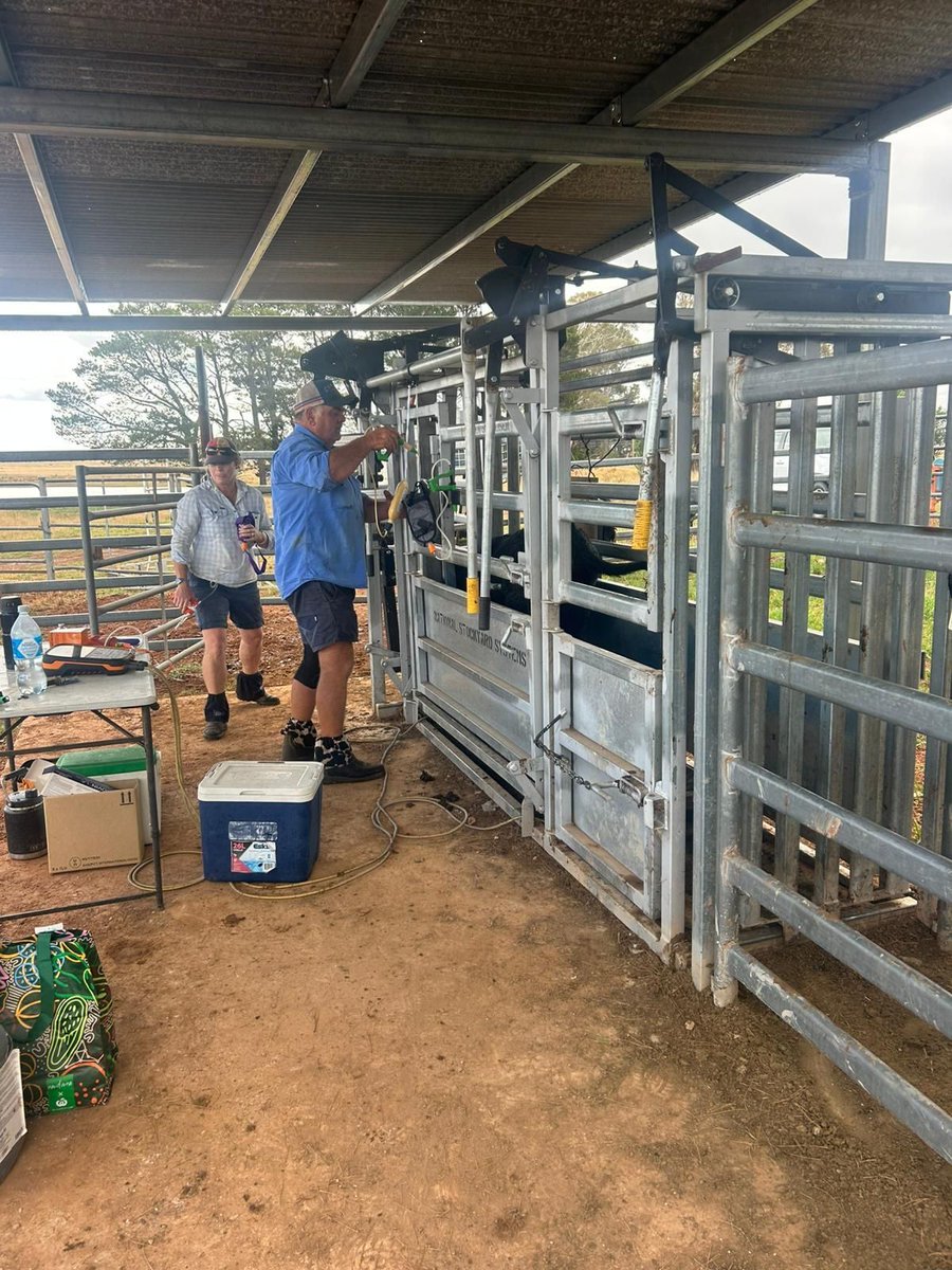 neXtgen Agri Ltd tweet media