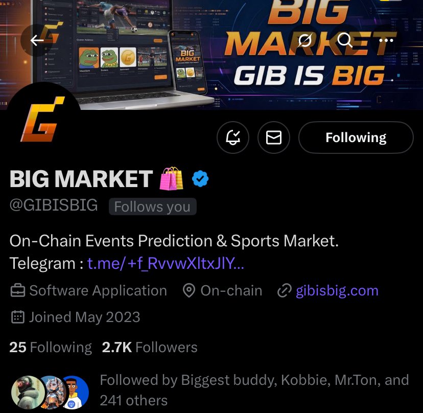 I have been building <a href="/GIBISBIG/">BIG MARKET 🛍️</a> with the help of my friends since 2023

~zero VC 
~zero grant 
~1 hackathon won
~Employed 5 

We are building a platform for humans and autonomous AI agents to analyze events and make predictions onchain.

We are ensuring solid utility before TGE.