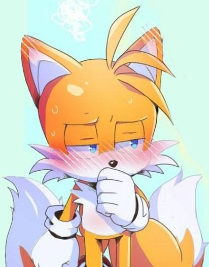 🦊𝙏𝘼𝙄𝙇𝙎🦊 tweet media