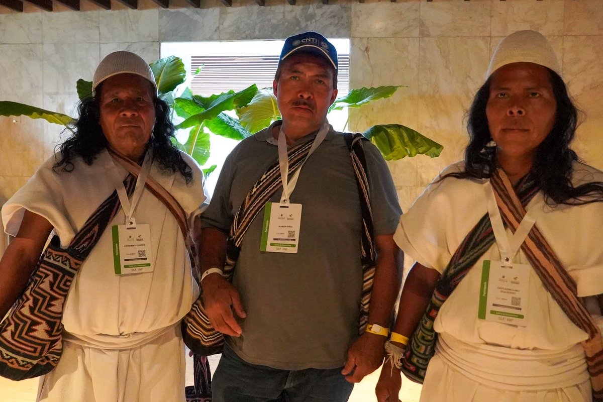 Mesa Permanente de Concertación Indígena - MPC tweet media