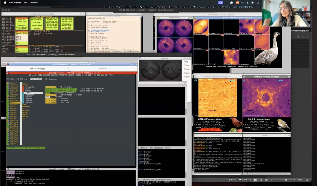 Subaru Telescope Eng tweet media