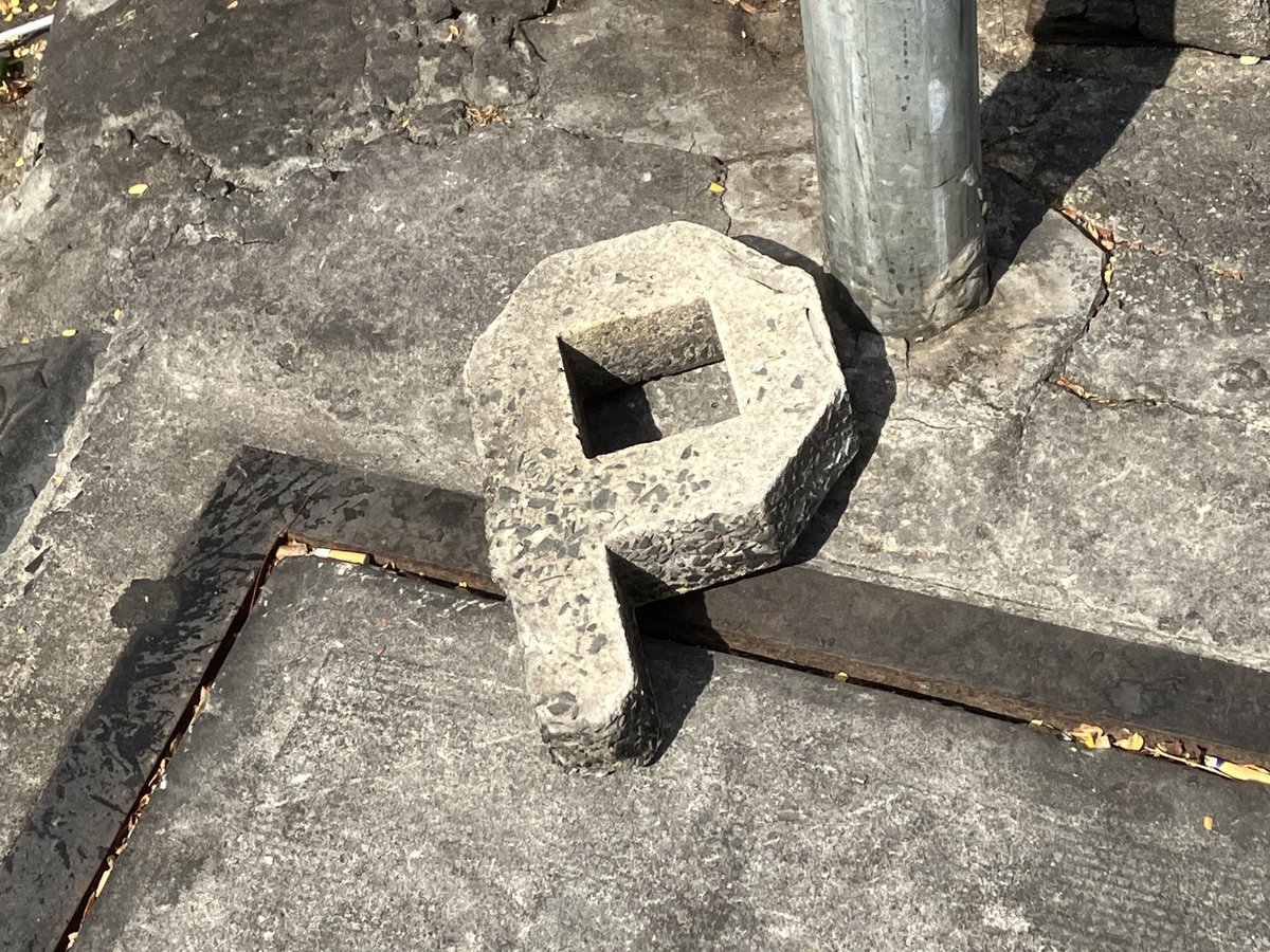 これはベトナムに落ちてたPの化石