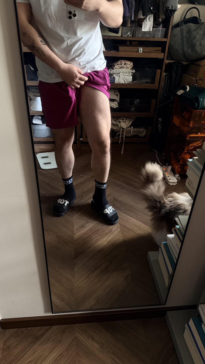 Matthew Ma tweet media