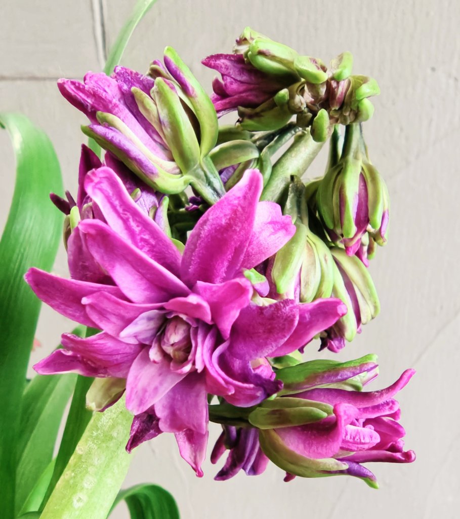 mayu。 (@xx_mayu_xx) / Posts / X