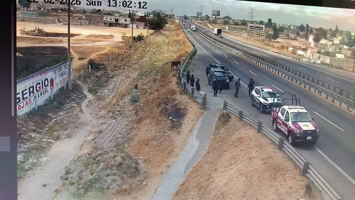 #PlataformaNacionaldelRegistroCivil consolida el derecho a la identidad digital

Las personas pueden descargar copias de actas de nacimiento, matrimonio y defunción de las 32 entidades del país miregistrocivil.gob.mx